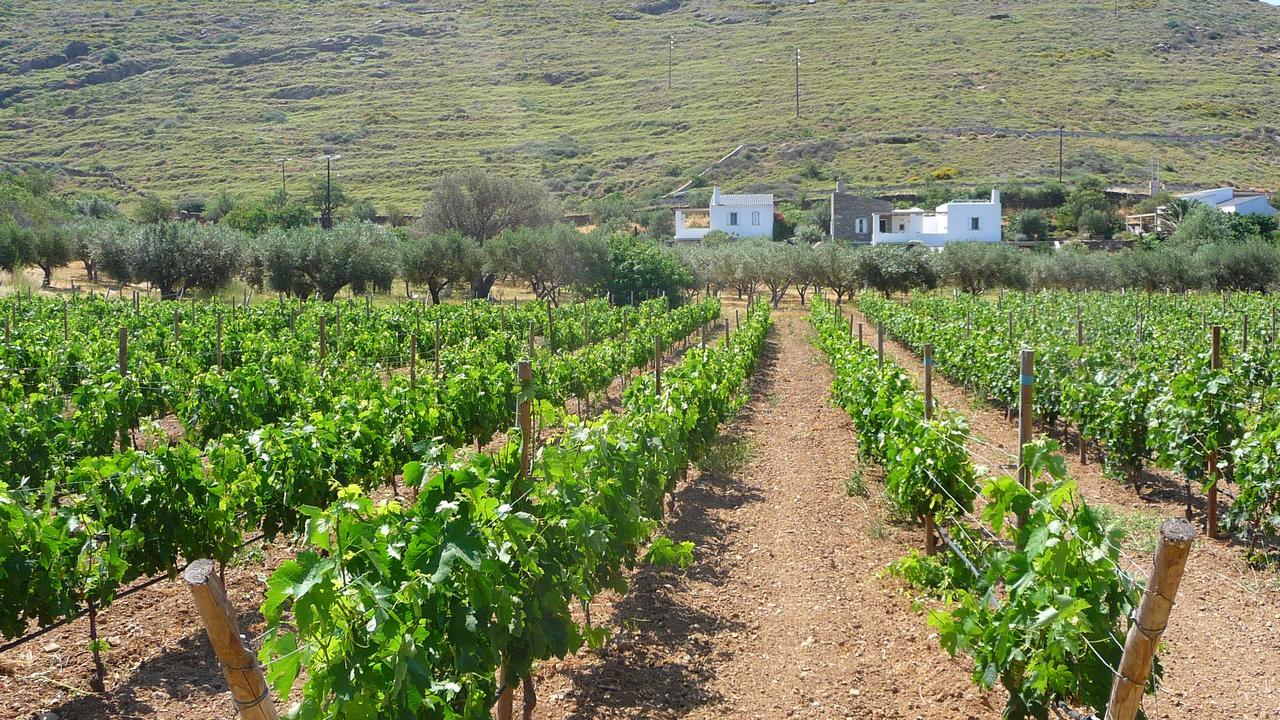 Вилла Red Tractor Farm Korissia  Экстерьер фото