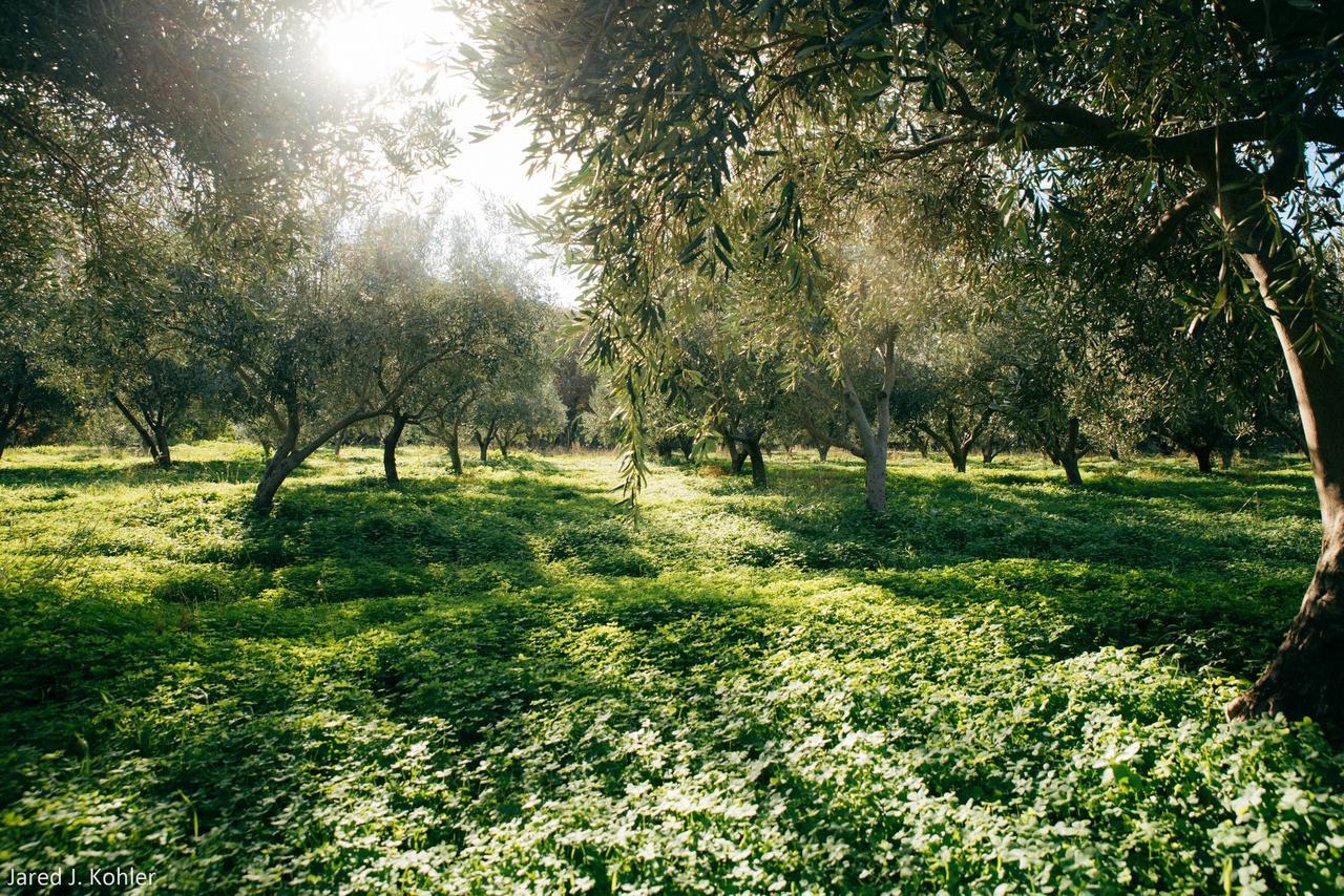 Вилла Red Tractor Farm Korissia  Экстерьер фото